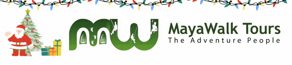 MayaWalk Christmas Logo