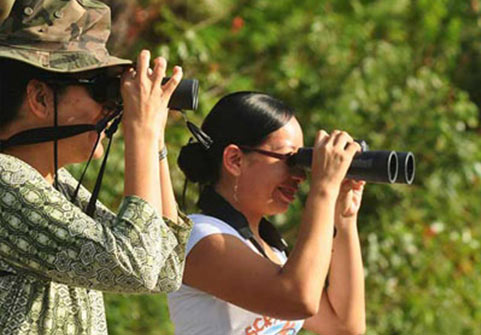 Cahal Pech Birding Tour