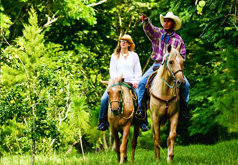 Horseback Riding Tours