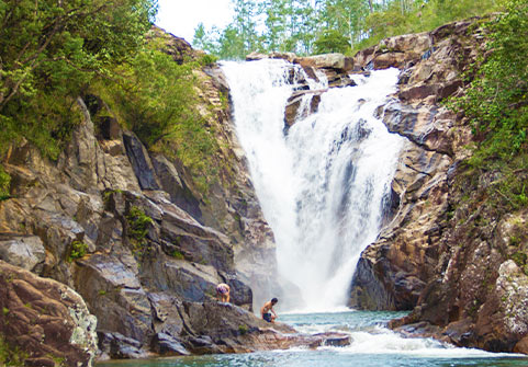 Mountain Pine Ridge and Rio Frio Cave Tour