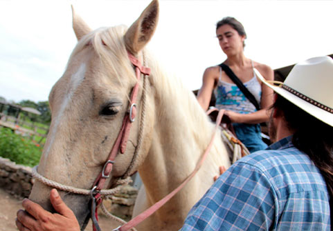 Organic Farm Horseback Riding Tour