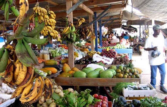 10 things to do at San Ignacio Market Day