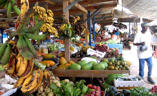 10 things to do at San Ignacio Market Day