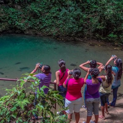 Caves Branch & Blue Hole Birding tour