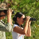 Belize Inland Blue Hole Birding Tour
