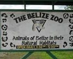 The Belize Zoo Tour