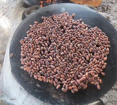 Belize Cacao Farm & Chocolate Making Tour