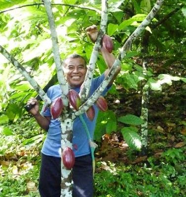 Belize Cacao Farm & Chocolate Making Tour