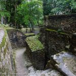 Cahal Pech Birdwatching Tour