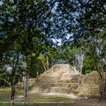 Cahal Pech Birdwatching Tour