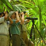 Cahal Pech Birdwatching Tour