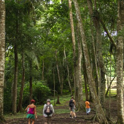 Belize Caracol Mayan Ruins Tour