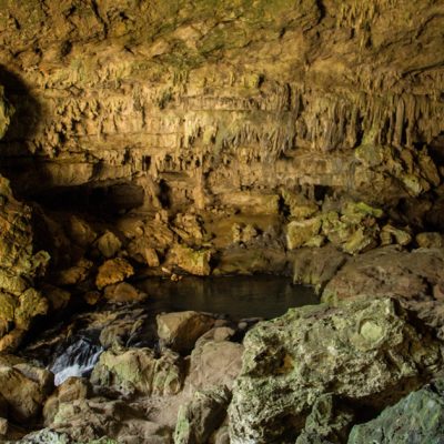 Belize Mountain Pine Ridge Tour