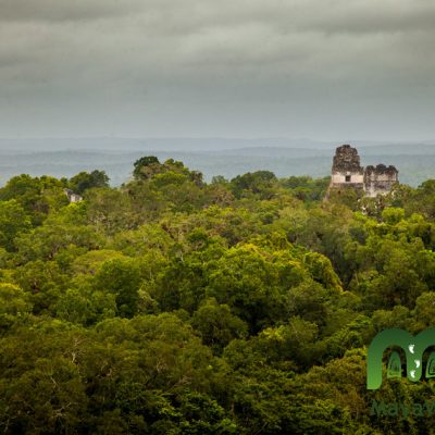 Tikal Mayan Ruins Tour