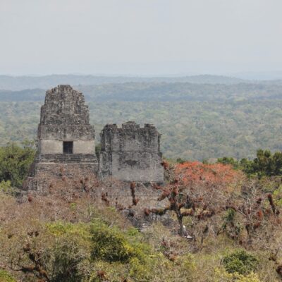 Tikal Mayan Ruins Tour