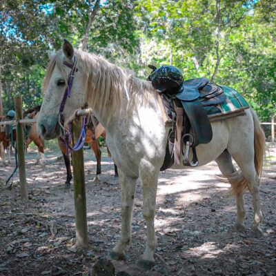 Horseback riding in Belize