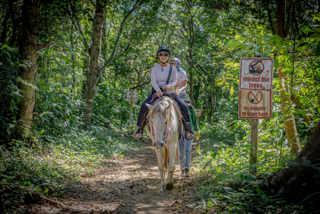 Horseback riding in Belize