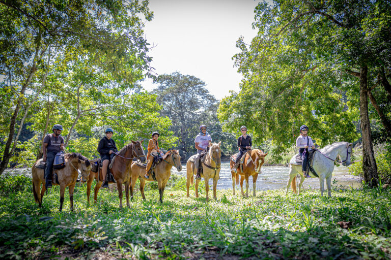 Horseback riding in Belize