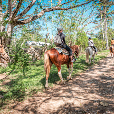 Horseback riding in Belize