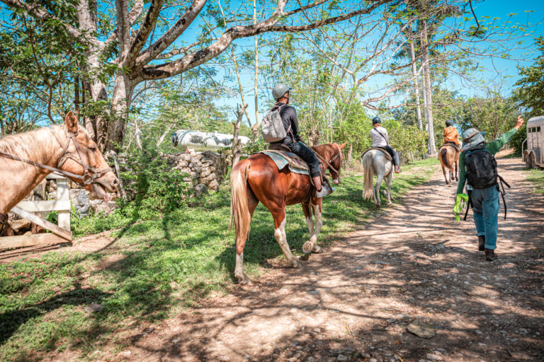 Horseback riding in Belize