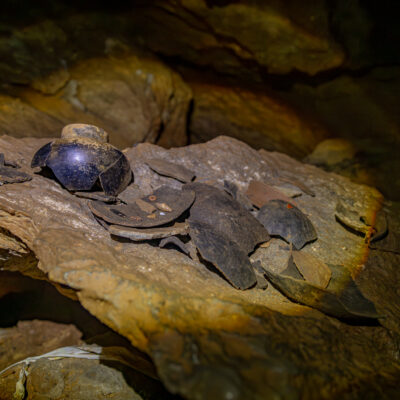 Belize Crystal Cave