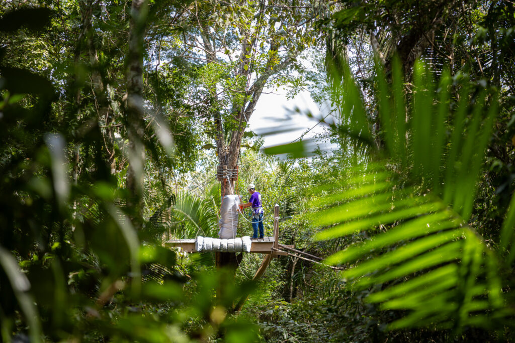 Ziplining in Belize