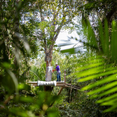 Ziplining in Belize