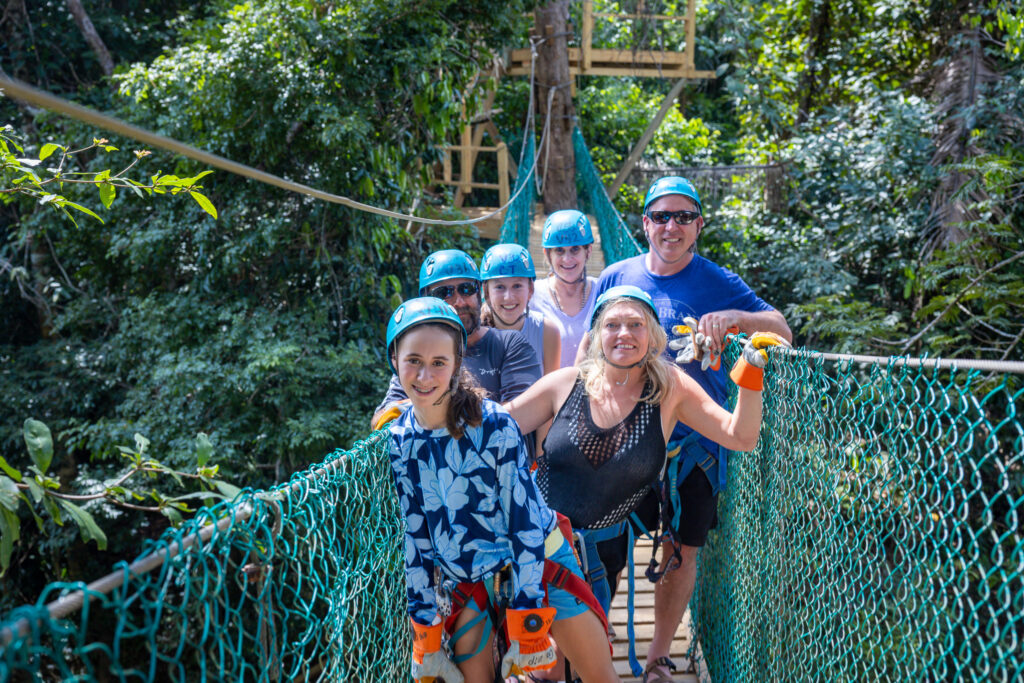 Bzees zipline clearance