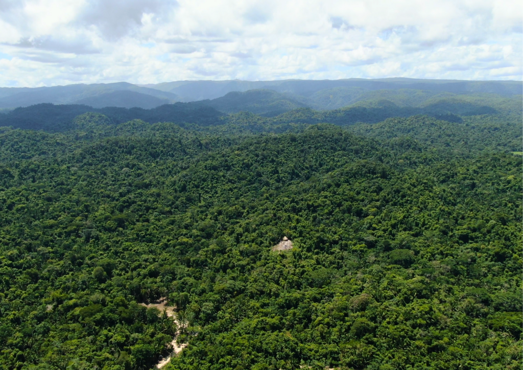 Tapir Mountain Nature Reserve