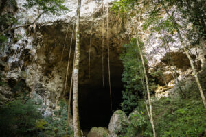 Rio Frio Cave- Mountain pine ridge tour