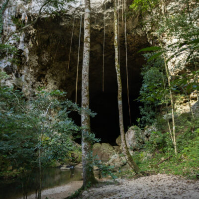Rio Frio Cave- Mountain pine ridge tour