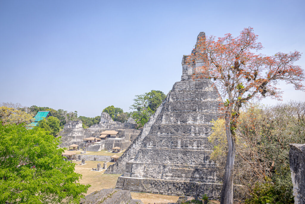 Tikal Maya Site Tour