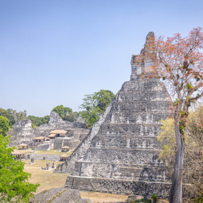 Tikal Maya Site Tour