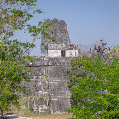 Tikal Maya Site Tour