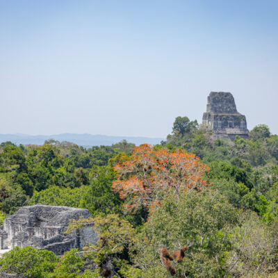 Tikal Maya Site Tour