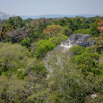 Tikal Maya Site Tour