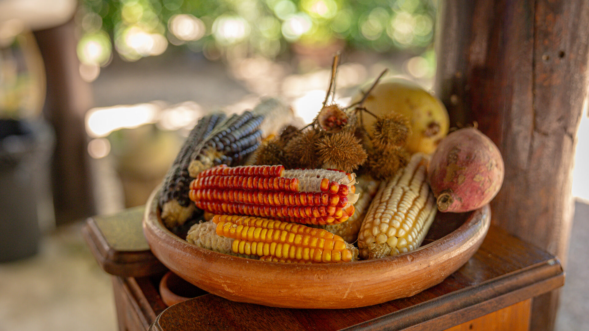 Belize Maya Cultural Tour