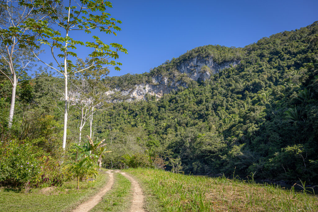 Birding tours in Belize