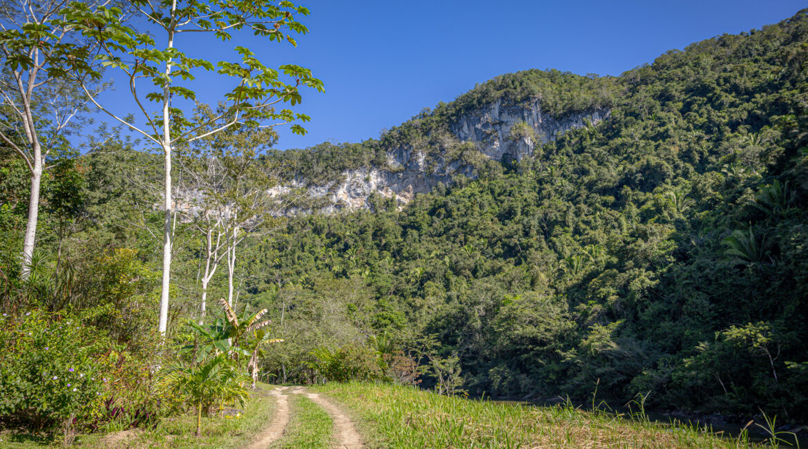 Birding tours in Belize