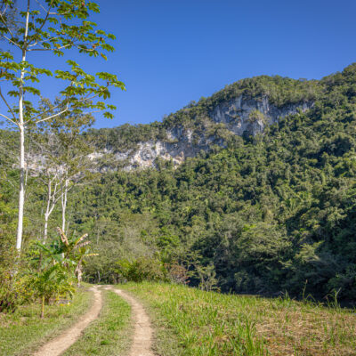 Birding tours in Belize