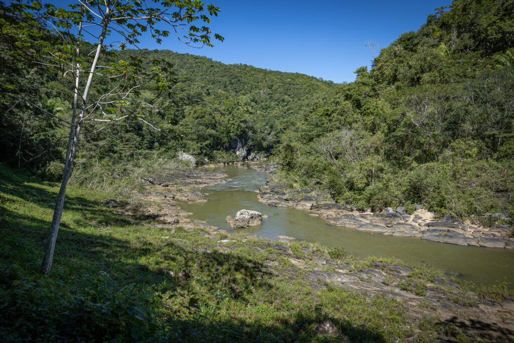 Birding tours in Belize