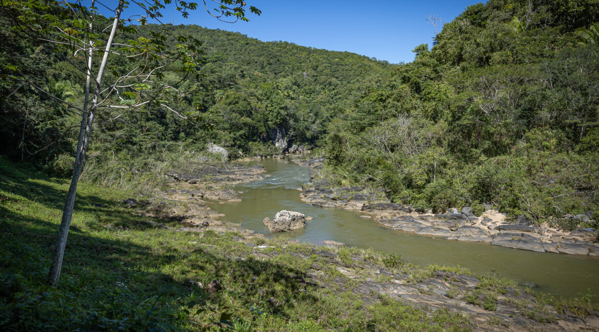 Birding tours in Belize