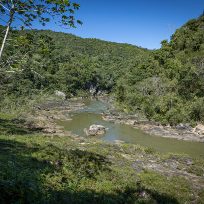 Birding tours in Belize