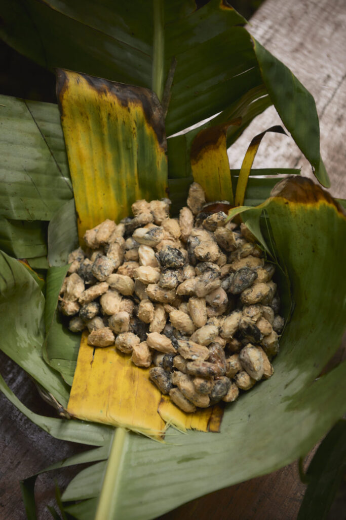 Ajaw maya chocolate tour