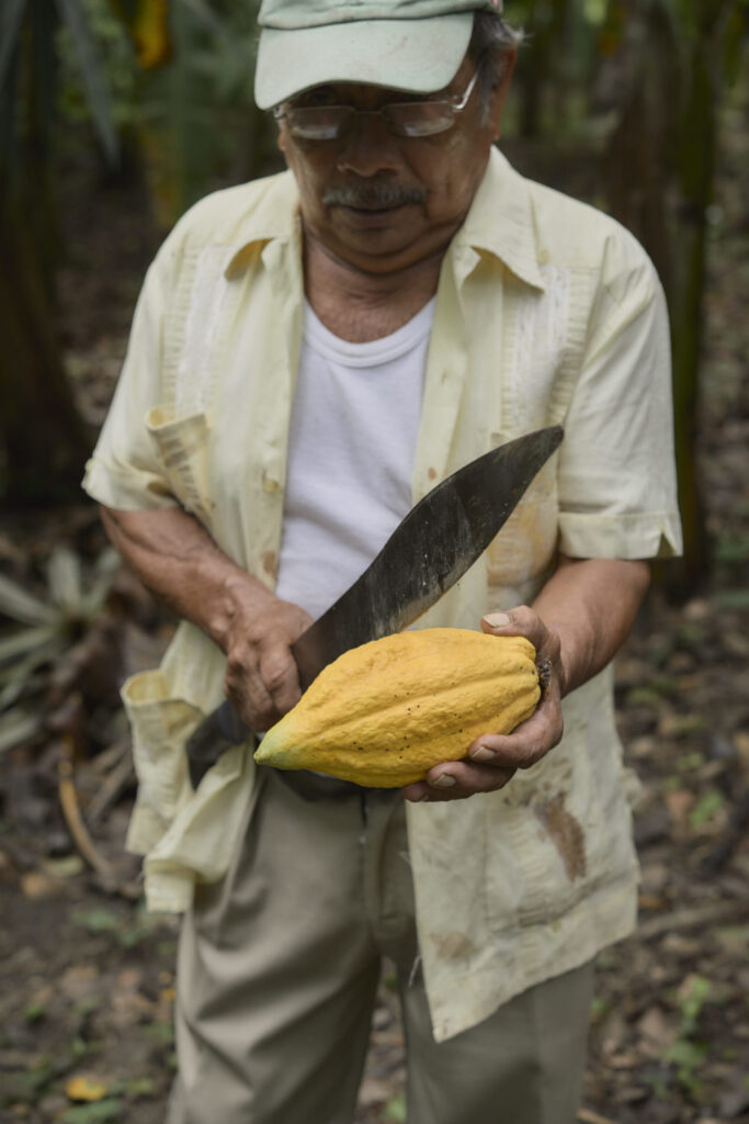 Ajaw maya chocolate tour