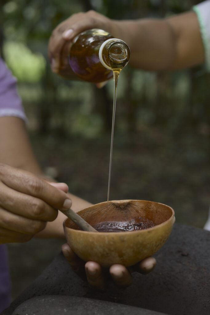 Ajaw maya chocolate tour