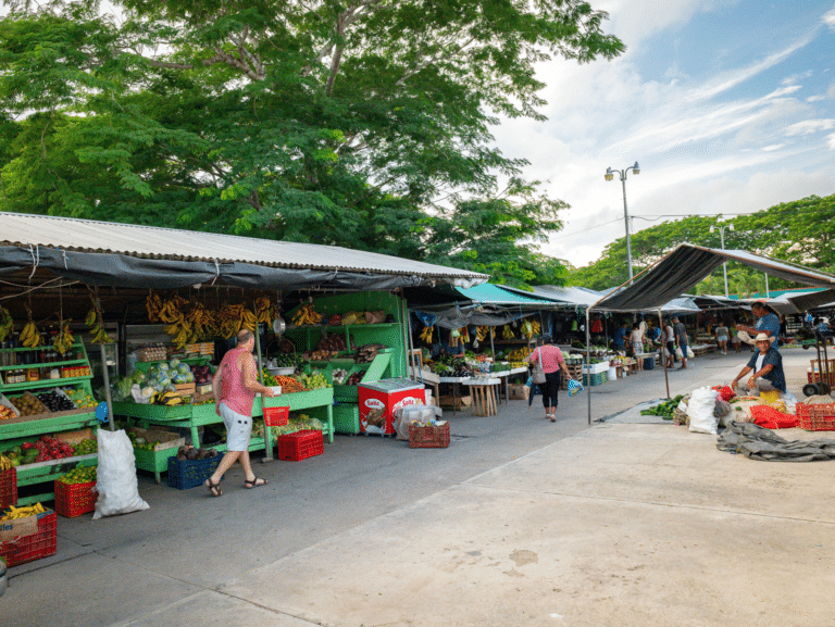 San Ignacio Market