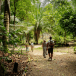 Tour Lamani Belize