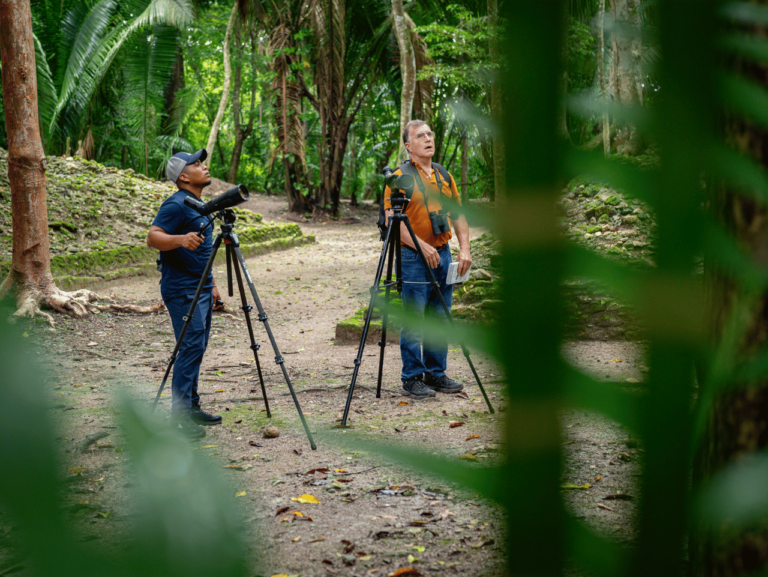 Birding Tour San Ignacio