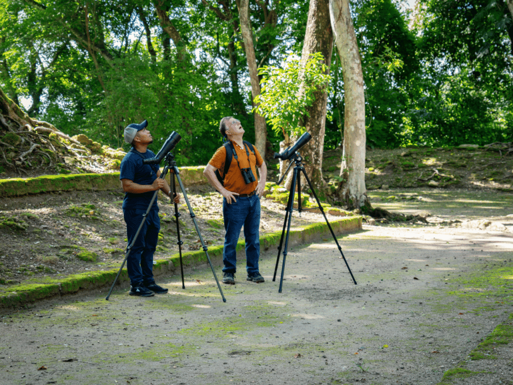 Birding in Cahal Pech